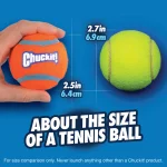 Chuckit! 2'li Köpek Tenis Oyun Topu (Orta Boy) 057402 - Görsel 9