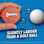 Chuckit! 2'li Köpek Tenis Oyun Topu (Küçük Boy) 07101 - Görsel 7