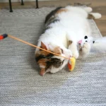 Mad Cat Hiss and Haunt Kedi Otlu ve Matatabili Oyuncaklı Kedi Oltası 16710 - Görsel 4