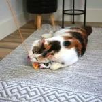 Mad Cat Hiss and Haunt Kedi Otlu ve Matatabili Oyuncaklı Kedi Oltası 16710 - Görsel 3