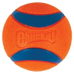 Chuckit! Ultra Ball Köpek Oyun Topu (Büyük Boy) 17030 - Görsel 5