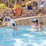 Chuckit! Bumper Suda Batmayan Köpek Oyuncağı (Büyük Boy) 18300 - Görsel 8