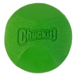 Chuckit! Erratic Ball Köpek Oyun Topu (Orta Boy) 201101
