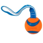 Chuckit! Ultra Tug Köpek Çekiştirme Topu (Büyük Boy) 231301 - Görsel 2