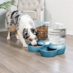 Petmate Replendish Hazneli Su Kabı (3.8 lt) Pearl Blue 34191 - Görsel 2