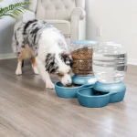 Petmate Replendish Hazneli Mama Kabı (2.3kg) Pearl Blue 34192 - Görsel 2