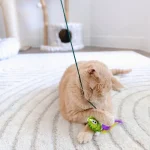 Mad Cat Sea Wand Kedi Otlu ve Matatabili Kedi Oltası 36178 - Görsel 4