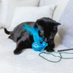 Mad Cat Sea Wand Kedi Otlu ve Matatabili Kedi Oltası 36178 - Görsel 5