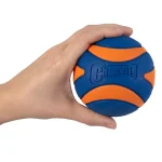 Chuckit! Ultra Squeaker Sesli Köpek Oyun Topu (XL Boy) 47090 - Görsel 7