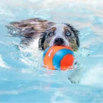 Chuckit! Suda Batmayan Mega Köpek Oyun Topu 50990 - Görsel 3